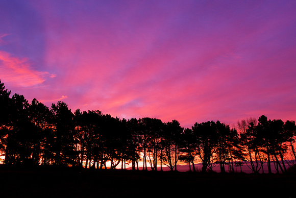 Early Morning Sky on Beacon Hill