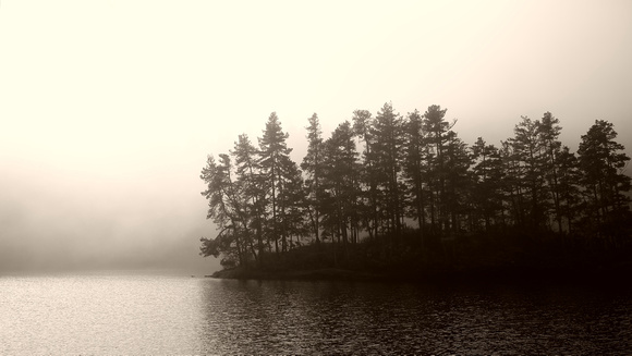 Foggy Morning at Matheson Lake